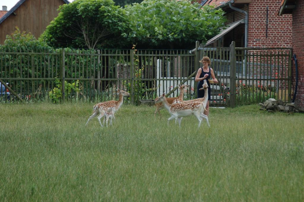 B&B De Rentmeesterhoeve Reningelst Kültér fotó